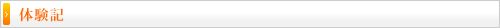体験記