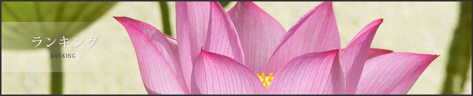 ランキング